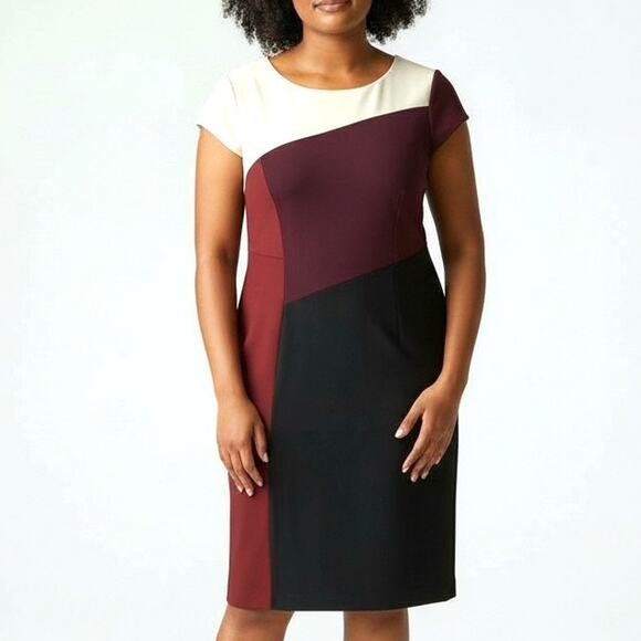 WHBM Size 10 Color-Block Sheath Dress Cream Burgundy Black Cap Sleeve Chic - Picture 1 of 7